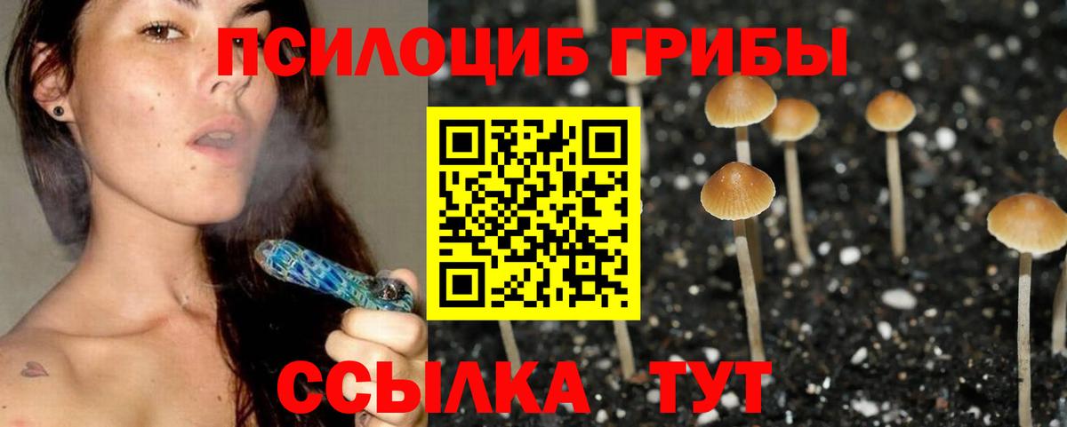 Псилоцибиновые грибы Psilocybe  Вход с VPN  Кубинка 