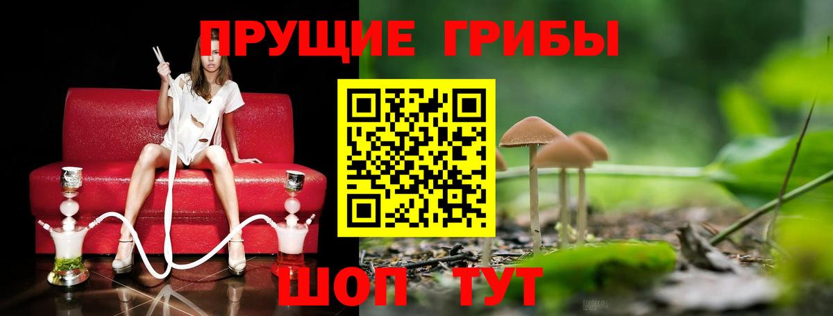Псилоцибиновые грибы мицелий Кубинка